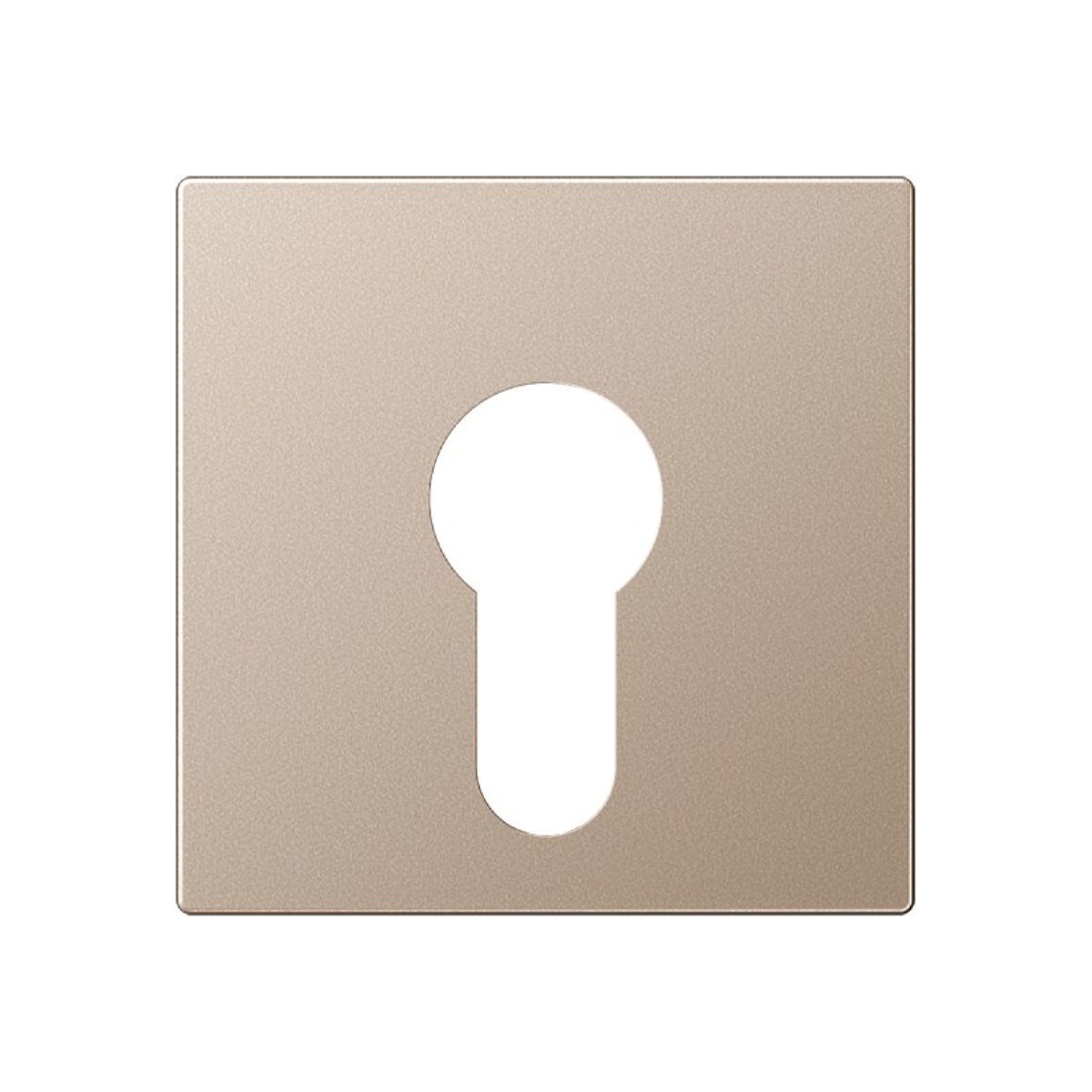 Jung Abdeckung für Schlüsselschalter ohne Demontageschutz, Thermoplast lackiert, Serie A, champagner A525PLCH