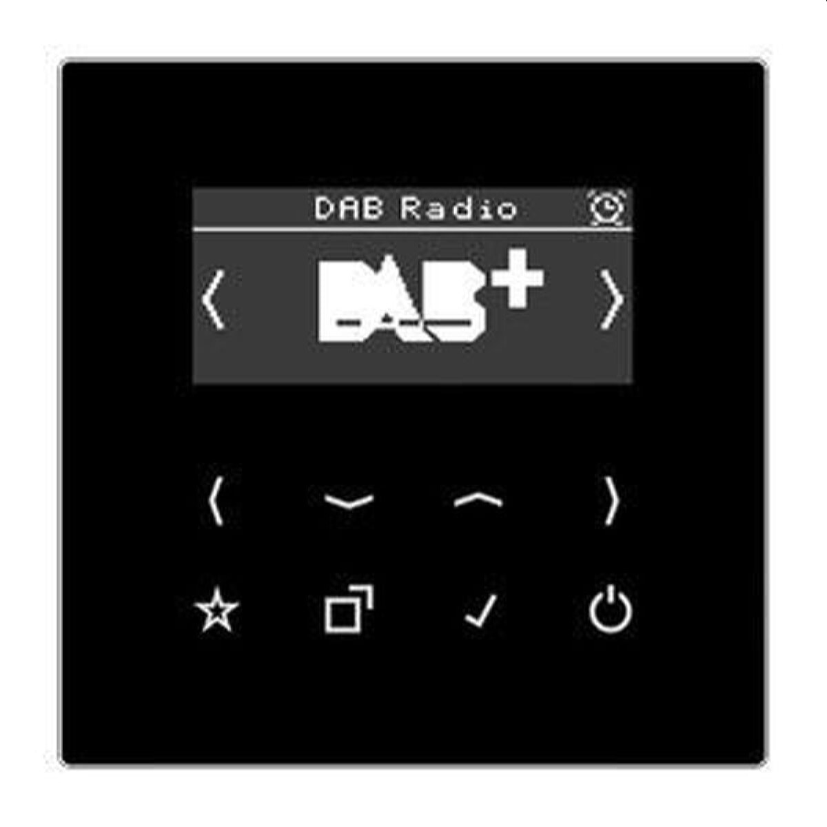 Jung Smart Radio DAB+, Serie LS, schwarz DABLSSW