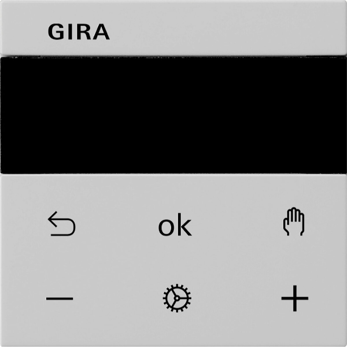 Gira Display 5393015 S3000 RTR Sys 55 grau