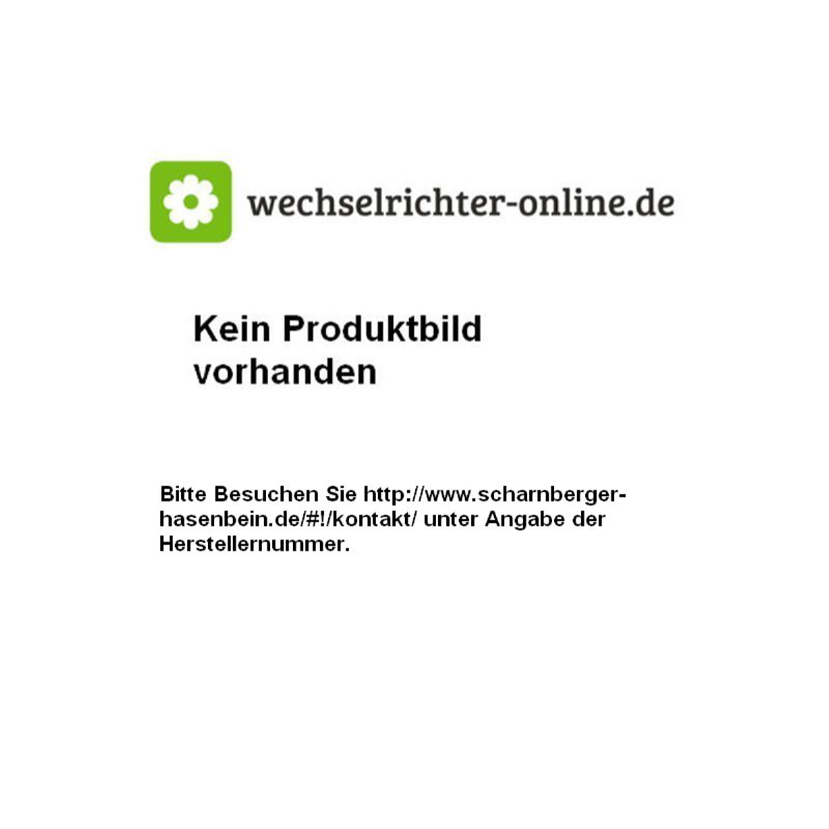 Scharnberger & Hasenbein Kleinstsicherung Träge 800MA 887.016 62831,