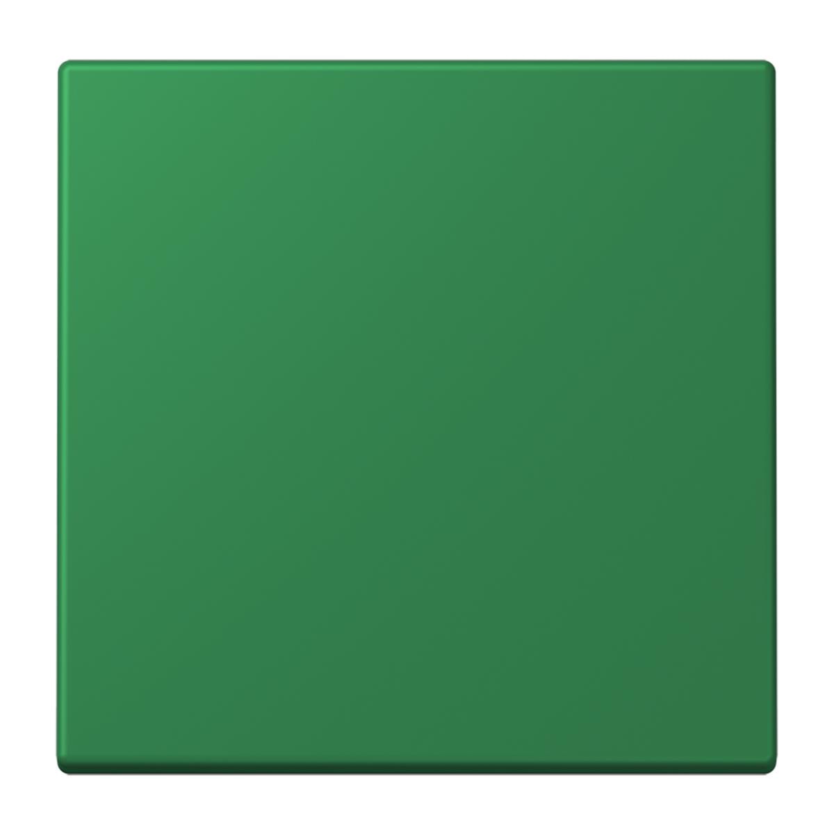 Jung EnOcean Funk-Wandsender 2-kanalig, Serie LS, vert foncé ENOLC990219